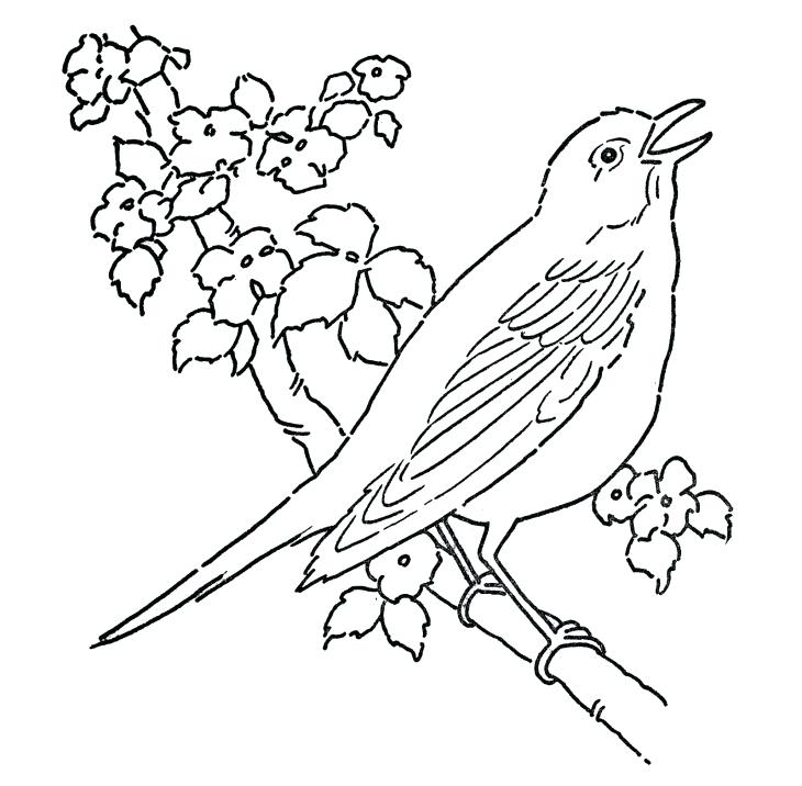 Cherry Blossom Coloring Pages Geisha Coloring Pages Cherry Blossom 730x716 Cherry Blossom Coloring Pages Geisha Coloring Pages Cherry Blossom