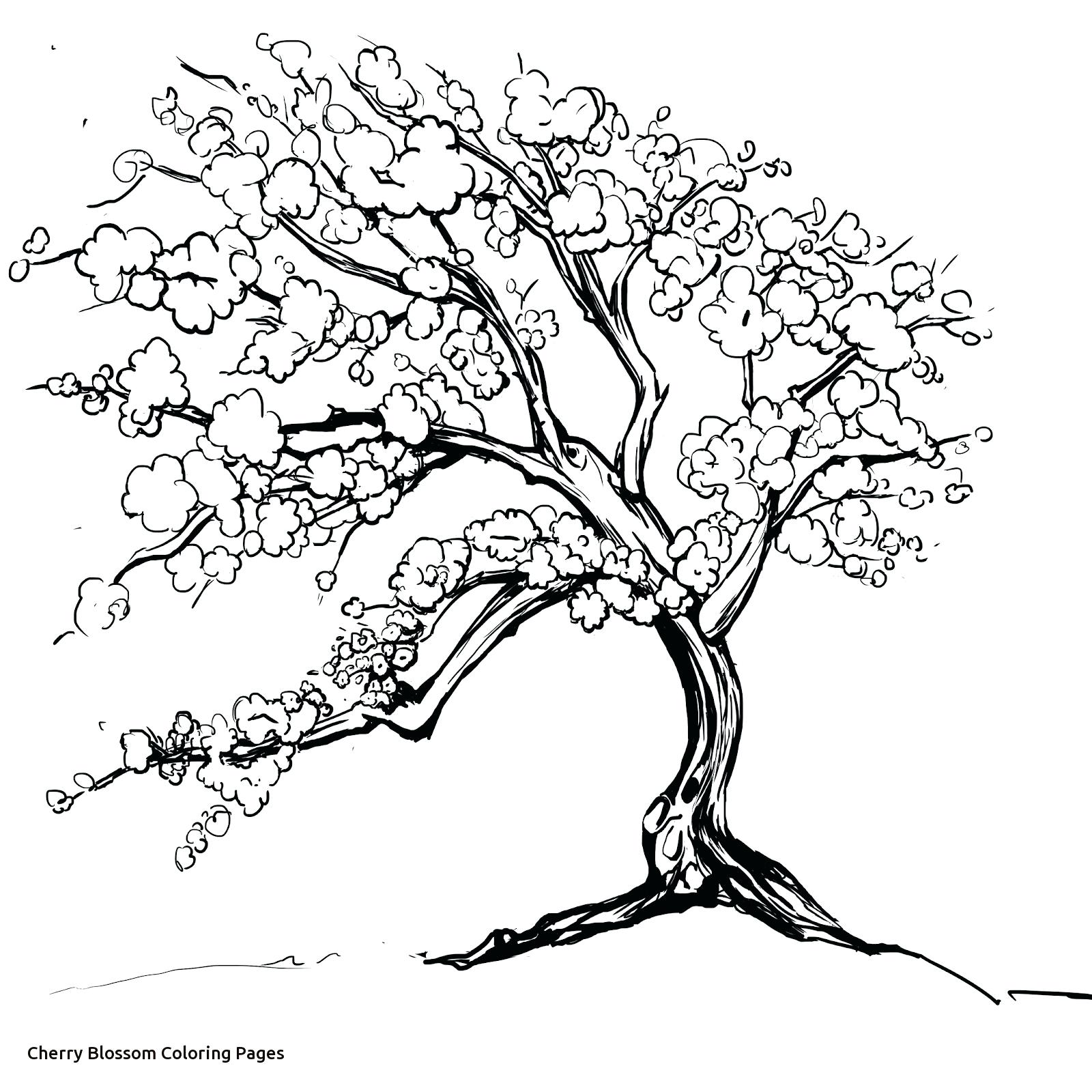 Cherry Blossom Japan Coloring Pages For Adults Justcolor 1600x1600 Cherry Blossom Japan Coloring Pages For Adults Justcolor