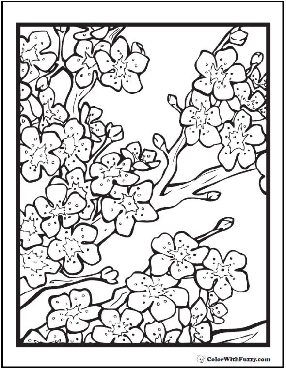 Adult Coloring Pages Customize Printable Pdfs Cherry 590x762 Adult Coloring Pages Customize Printable Pdfs Cherry