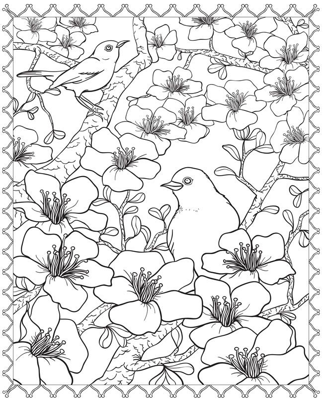 Japanese Cherry Blossom Coloring Pages Cherry Blossom Coloring 650x808 Japanese Cherry Blossom Coloring Pages Cherry Blossom Coloring