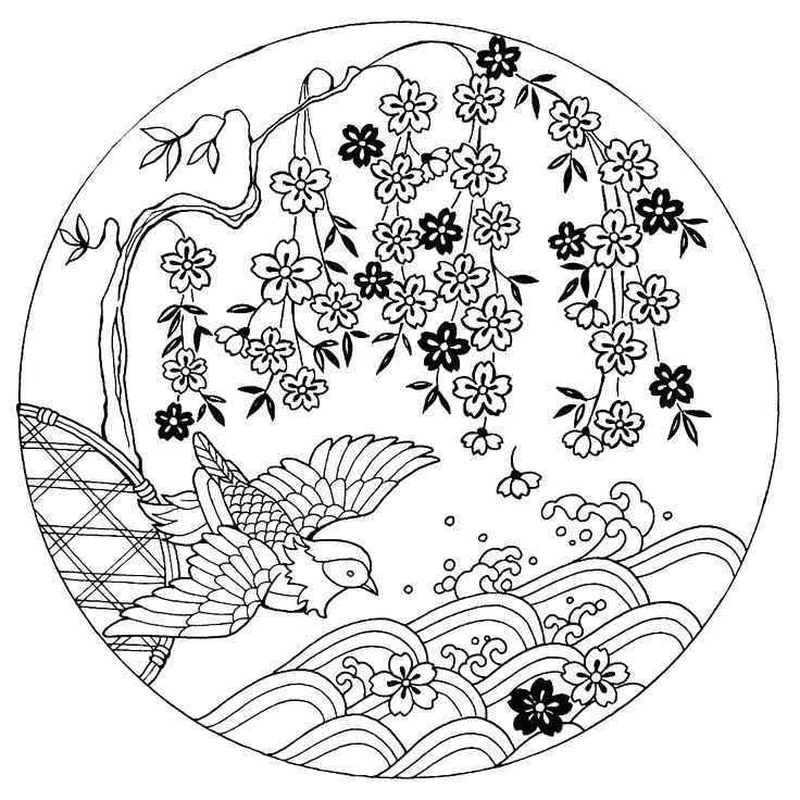 Japanese Coloring Books Cherry Blossoms With Bird Coloring Book 736x736 Japanese Coloring Books Cherry Blossoms With Bird Coloring Book