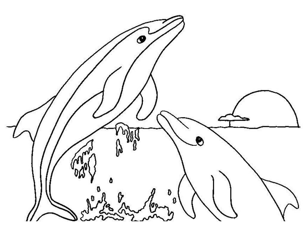 Excellent Japan Surgeonhead Coloring Page Realistic Sea Animal 1024x768 Excellent Japan Surgeonhead Coloring Page Realistic Sea Animal