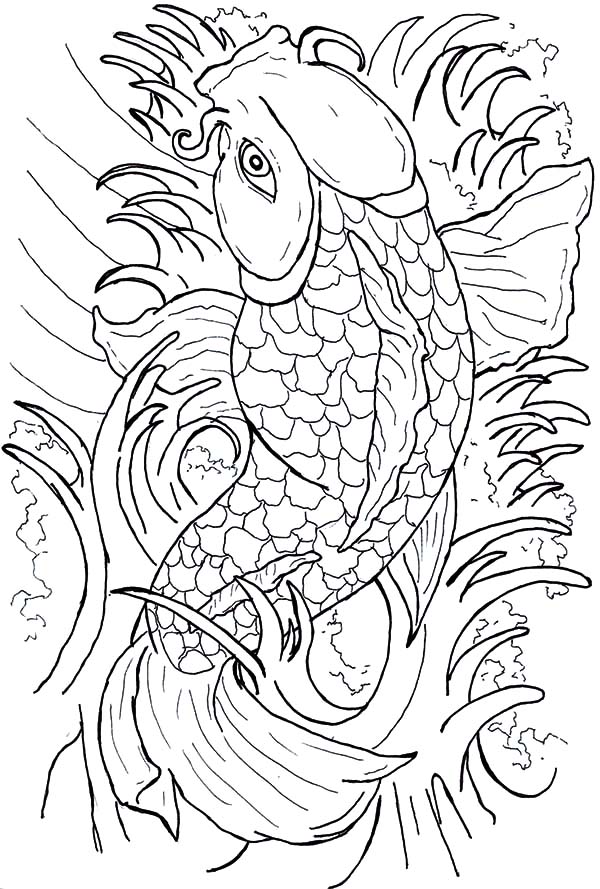 Beautiful Japanese Coy Fish Coloring Pages Adult Coloring 600x889 Beautiful Japanese Coy Fish Coloring Pages Adult Coloring