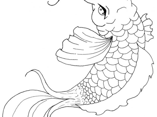 Japanese Koi Fish Coloring Pages. Blooming Lotus And Coy Fish 640x480 Japanese Koi Fish Coloring Pages. Blooming Lotus And Coy Fish