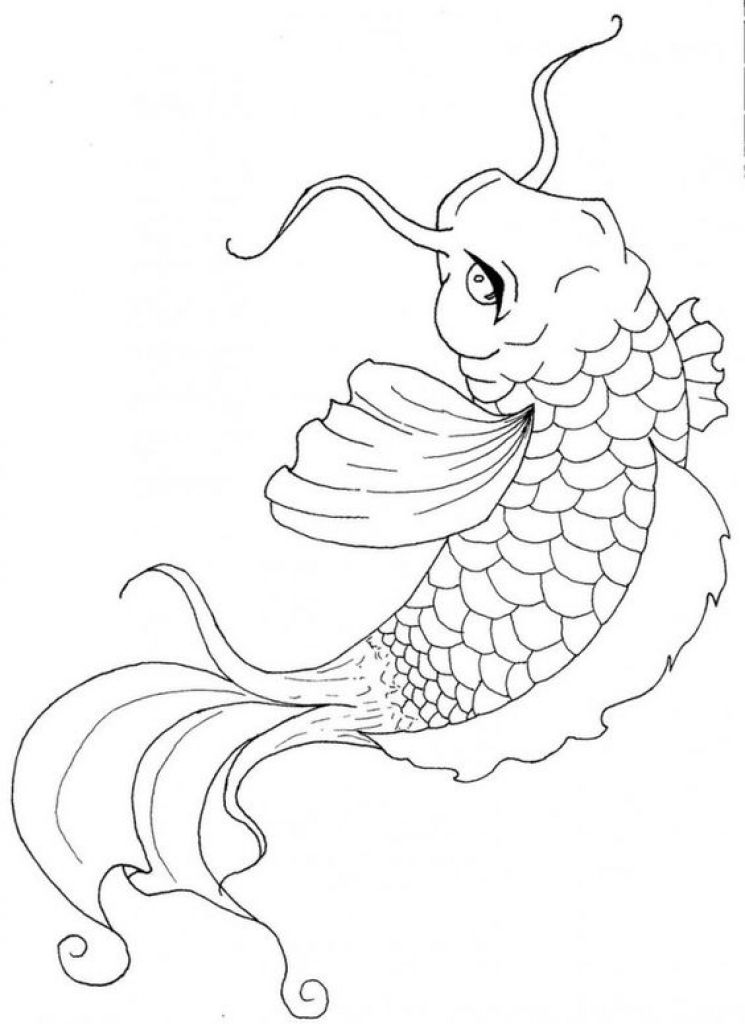 Japanese Koi Funny And Coloring Pages On Within Koi Fish 745x1024 Japanese Koi Funny And Coloring Pages On Within Koi Fish