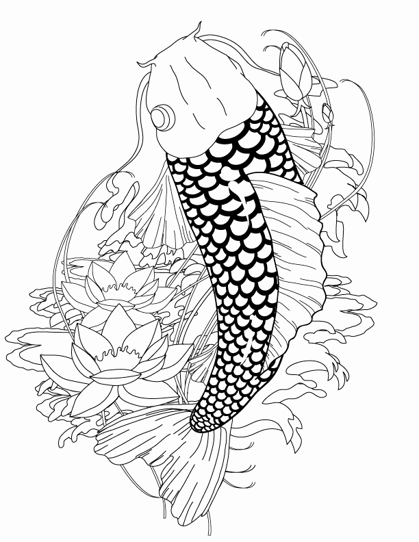 Koi Fish Coloring Page Pics Japanese Koi Fish Coloring Pages 612x792 Koi Fish Coloring Page Pics Japanese Koi Fish Coloring Pages