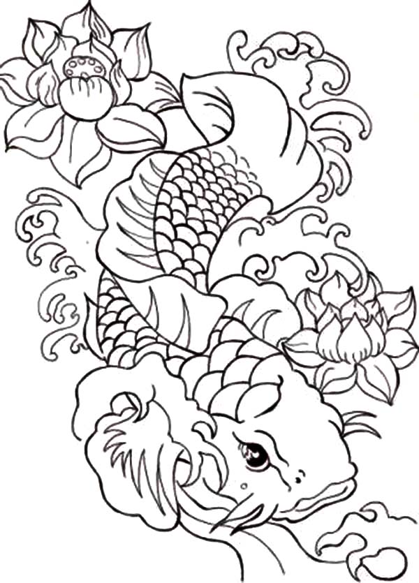Koi Fish Coloring Pages 600x835 Koi Fish Coloring Pages