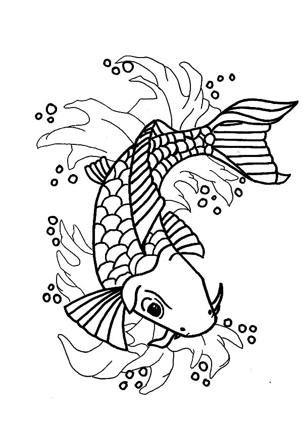 Nishikigoi Koi Fish Coloring Pages Nishikigoi Koi Fish Coloring 600x842 Nishikigoi Koi Fish Coloring Pages Nishikigoi Koi Fish Coloring