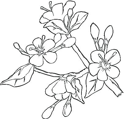 32 Art Coloring Pages Art Nouveau Coloring Pages Coloring Home 405x388 32 Art Coloring Pages Art Nouveau Coloring Pages Coloring Home
