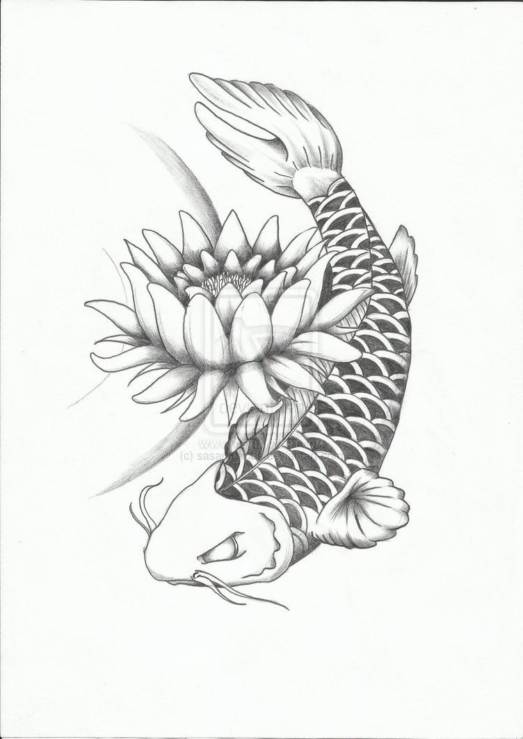 752x1063 Koi Fish Coloring Pages Games Free Coloring Pages For Kids Koi