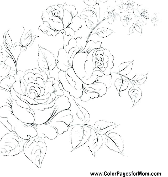 Jasmine Flower Coloring Pages at GetColorings.com | Free printable ...