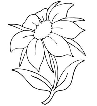 319x350 Summer Flowers Coloring Page Flowers Embroidery