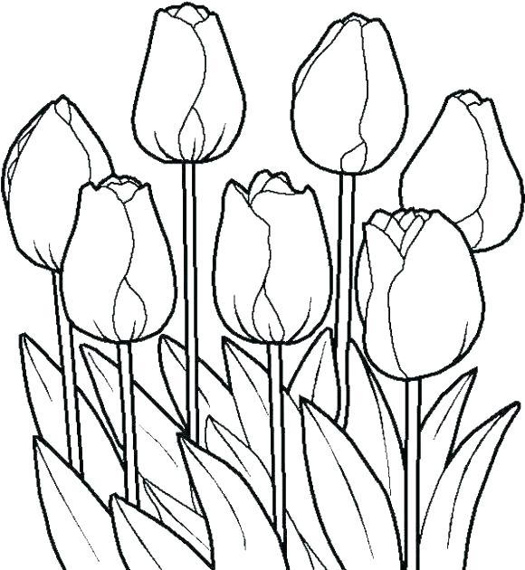 580x630 Coloring Page Of Flower Great Jasmine Flower Coloring Pages Free