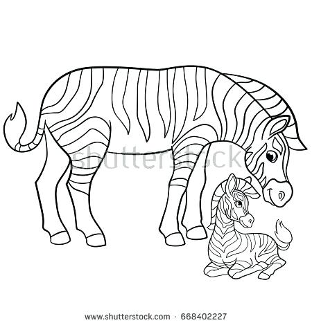 Coloring Pages Zebra Coloring Pages Mother Zebra Her Little Stock 450x470 Coloring Pages Zebra Coloring Pages Mother Zebra Her Little Stock