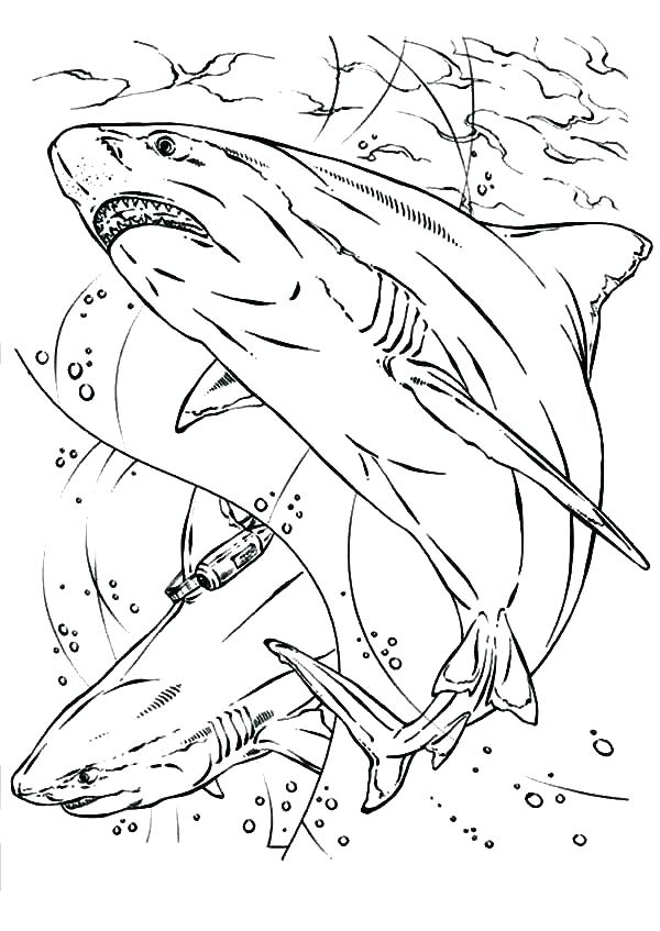 Jaws Coloring Pages at GetColorings.com | Free printable colorings ...