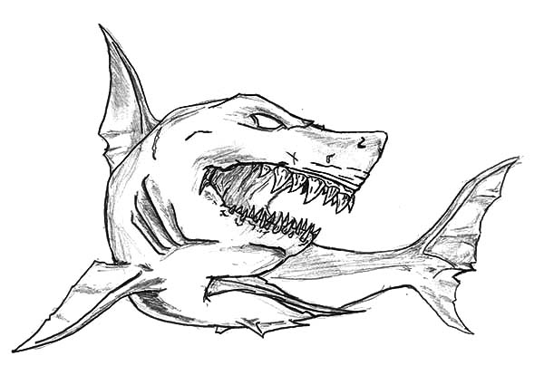 Shark Jaws Sketch Coloring Pages Best Place To Color 600x414 Shark Jaws Sketch Coloring Pages Best Place To Color