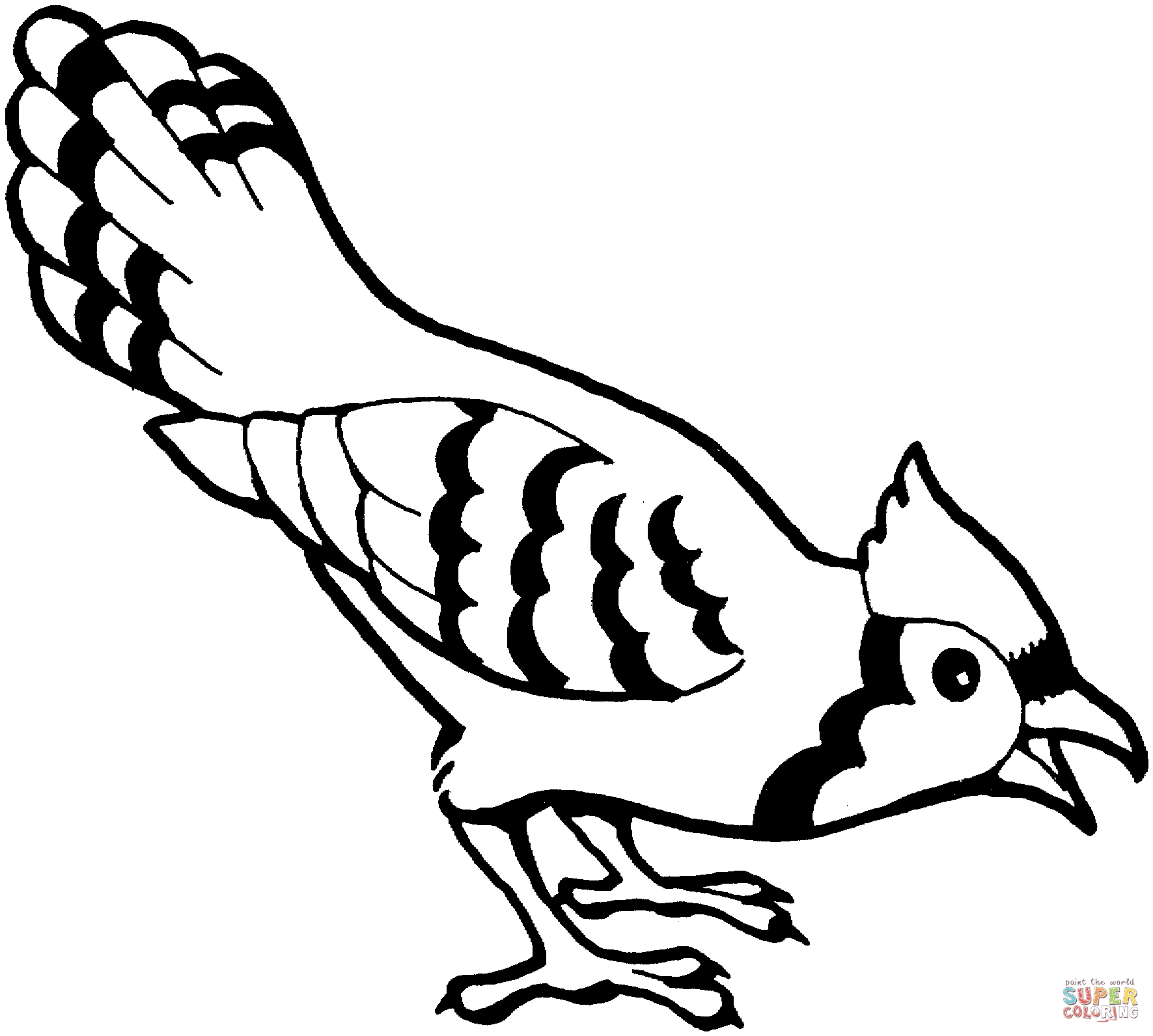 1771x1592 Birds Coloring Pages Fresh Blue Jay Bird Coloring Page Logo