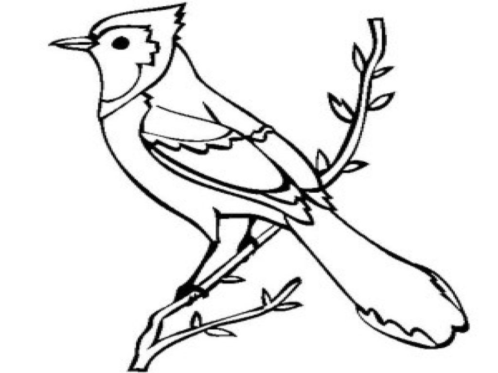 1024x768 Blue Jays Logo Colouring Pages Jay Coloring Toronto Baseball