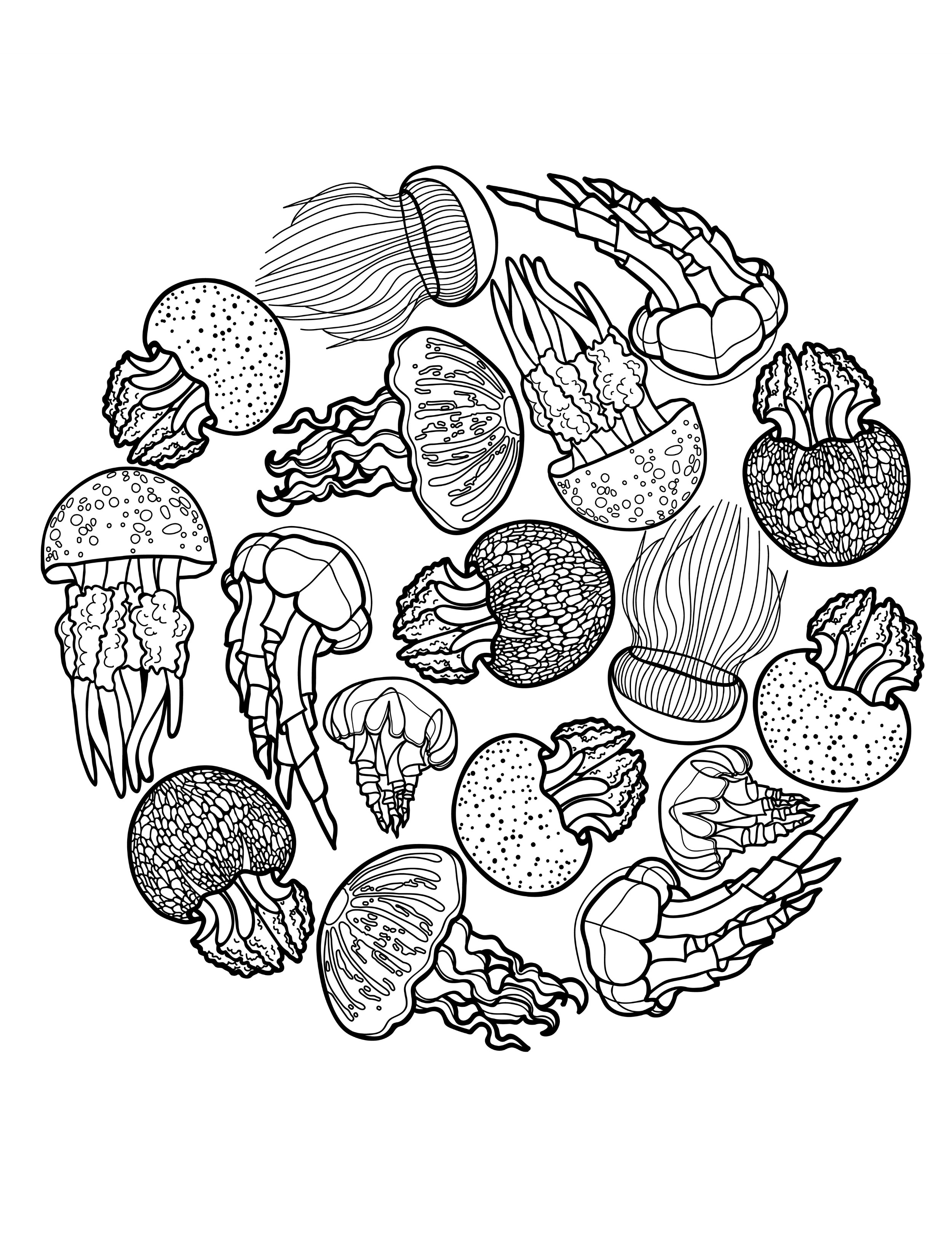 Jelly Coloring Pages