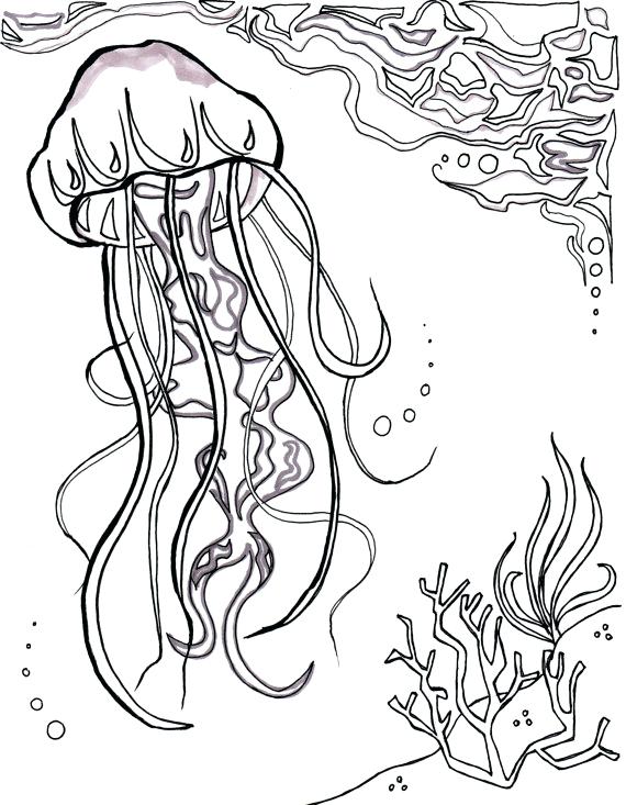 570x733 Jelly Fish Coloring Page Jellyfish Ocean Ocean Coloring Sheet