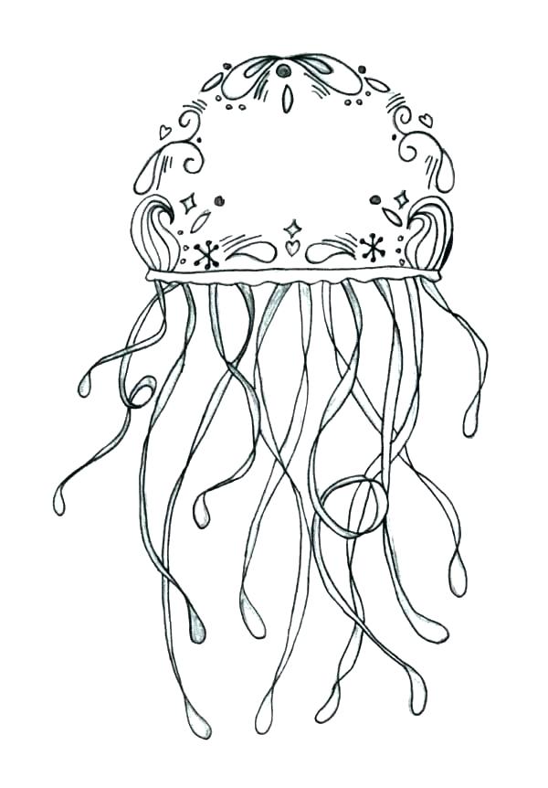 600x862 Jellyfish Coloring Page Jellyfish Coloring Page For Adults Www
