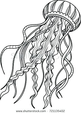 335x470 Coloring Pages Jellyfish