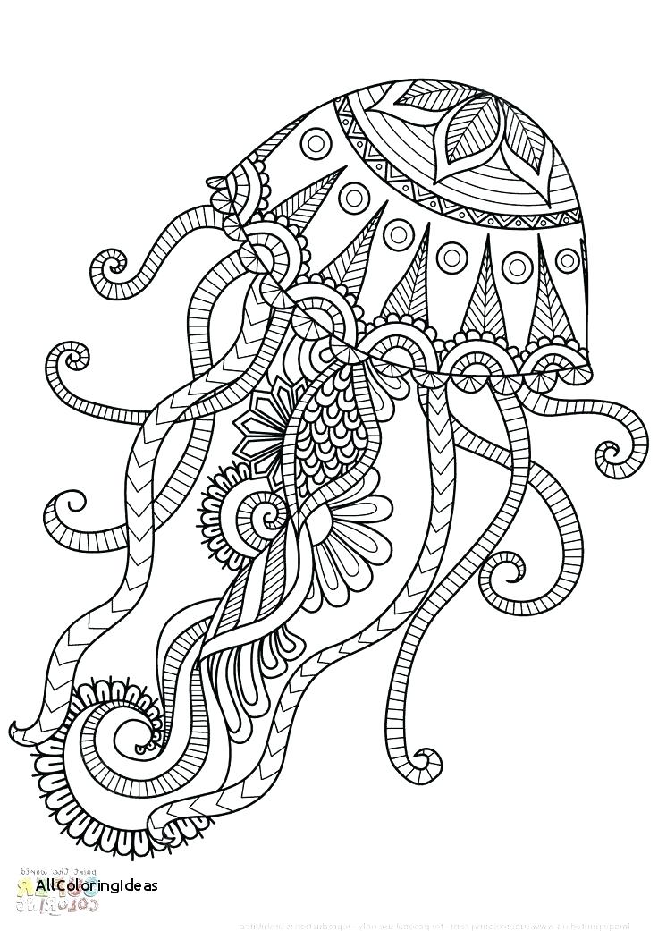 736x1041 Jellyfish Coloring Page Coloring Pages Jellyfish Coloring Page
