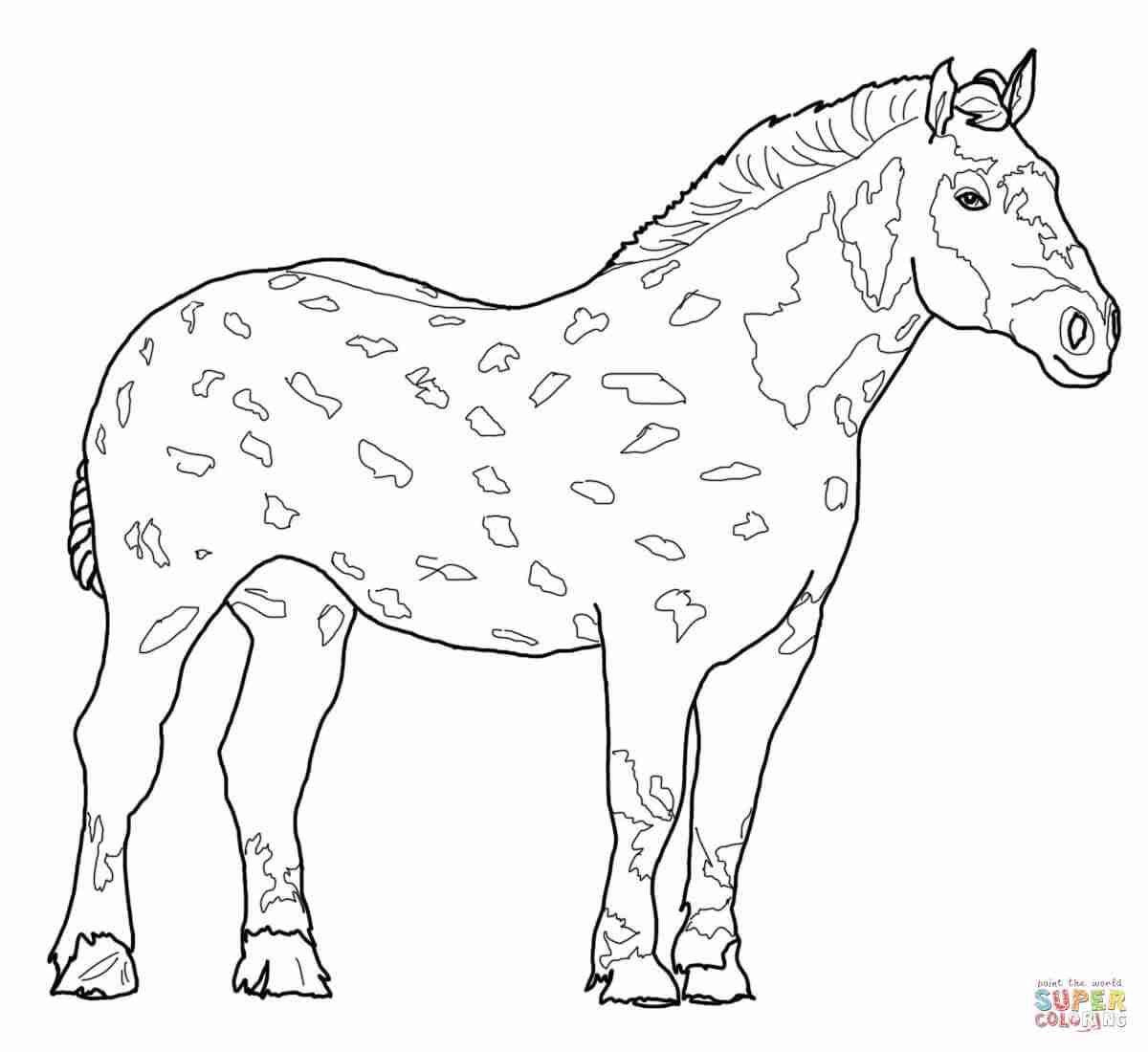 1200x1100 Running Arabian Horse Coloring Page Free Printable Pages Beauteous