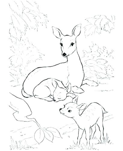 409x500 John Deere Coloring Page John Coloring Book Plus Coloring