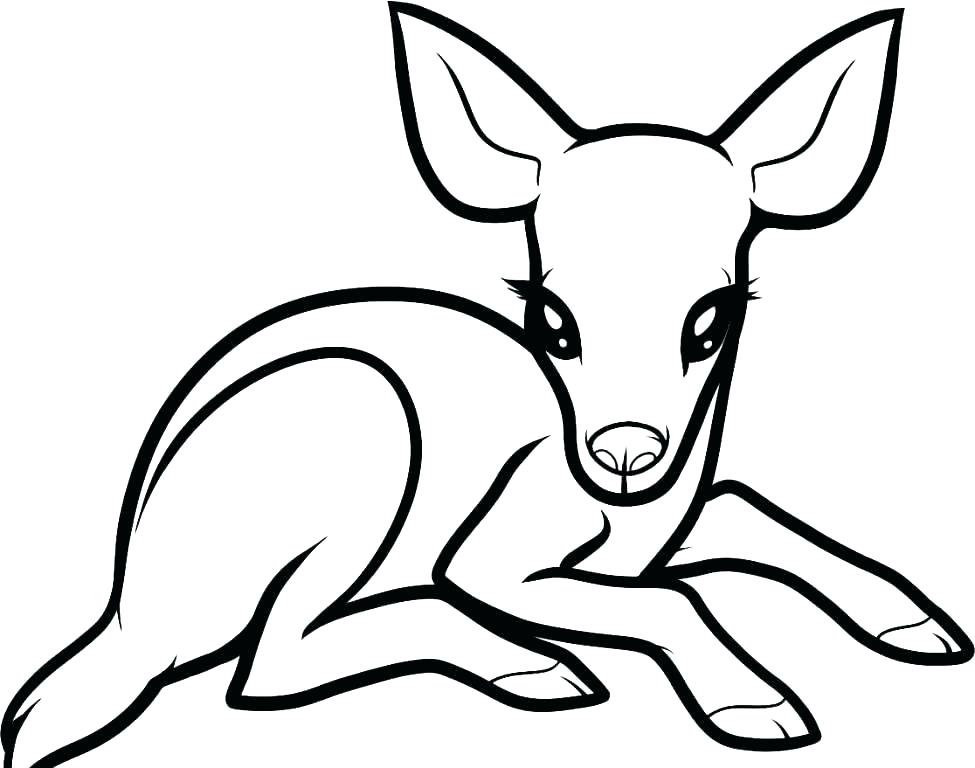 975x768 Free Deer Coloring Pages Best Printable John Deere Online Tr