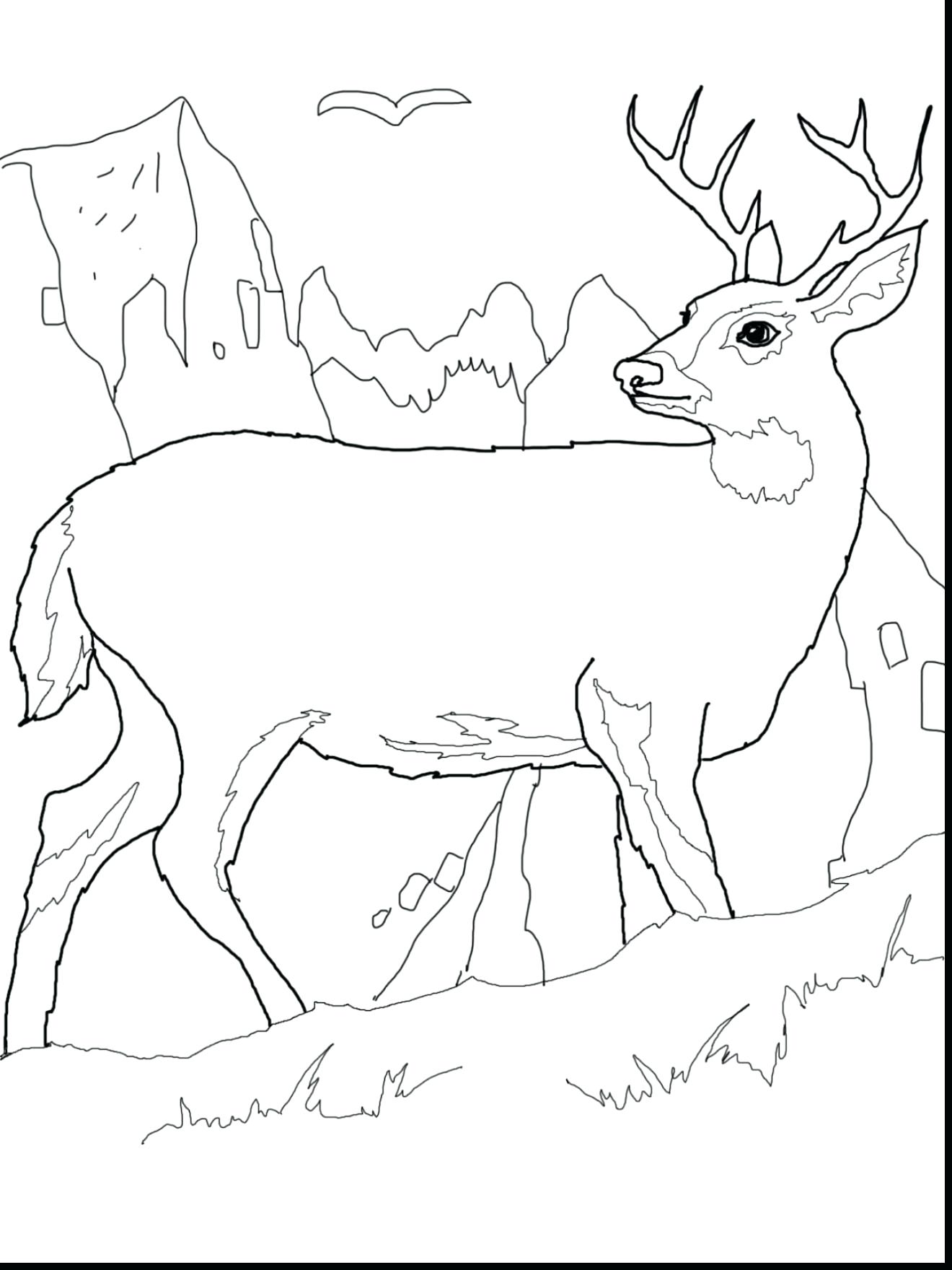 Combine Coloring Page 1320x1760 Combine Coloring Page