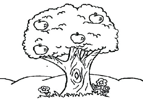 Trees And Flowers Coloring Pages Page Image Images Coloring Trend 476x333 Trees And Flowers Coloring Pages Page Image Images Coloring Trend