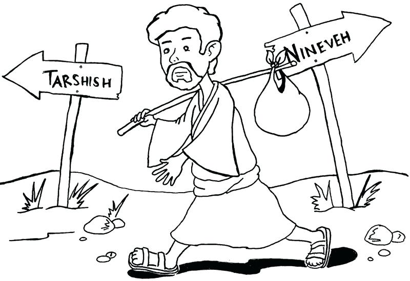 800x550 Jonah And The Whale Coloring Page Also And The Whale Picture