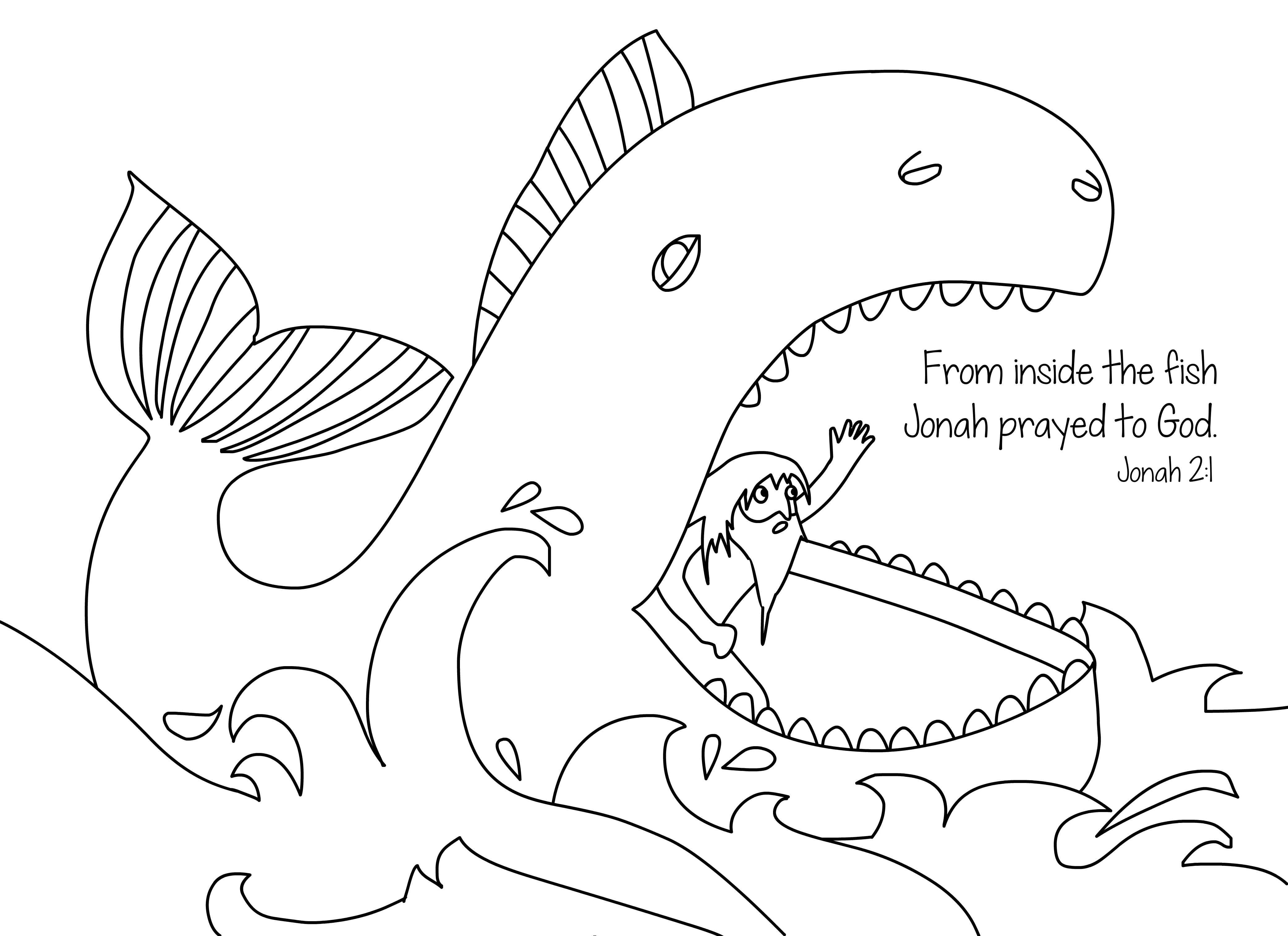 4167x3028 Swallows Coloring Pages Printable Coloring For Kids 2018