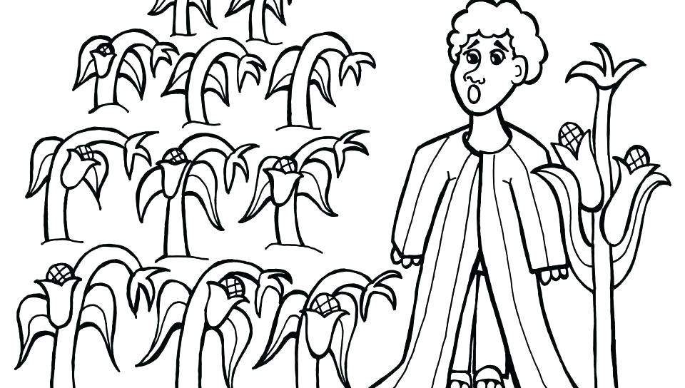 960x544 A Journey Of Forgiveness And His Brothers Love Surrounds Joseph