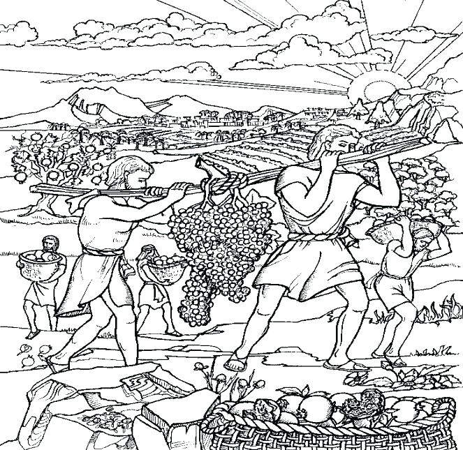 Joshua And Caleb Coloring Pages Vanda 663x645 Joshua And Caleb Coloring Pages Vanda