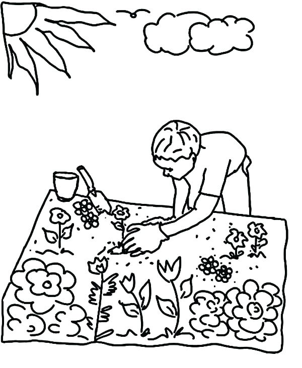 Plant Coloring Pages Pitcher Coloring Pages Colouring Pages 600x731 Plant Coloring Pages Pitcher Coloring Pages Colouring Pages