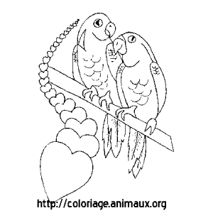 Free Coloring Pages Of Jumanji Animated Lovely Coloriage Perroquet 300x300 Free Coloring Pages Of Jumanji Animated Lovely Coloriage Perroquet