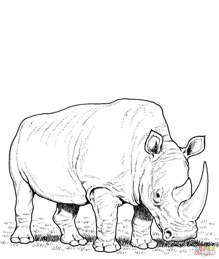 Rhino Coloring Pages Free And Rhinoceros 867x1024 Rhino Coloring Pages Free And Rhinoceros