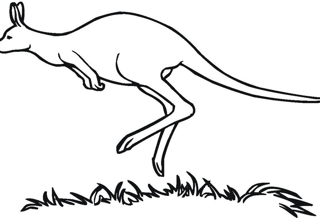 Free Printable Kangaroo Coloring Pages For Kids New Page Glum 1080x735 Free Printable Kangaroo Coloring Pages For Kids New Page Glum