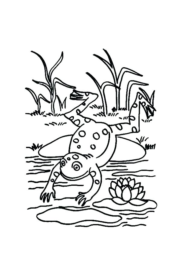 Pond Coloring Page Jumping Frog Coloring Page Collection Pond 600x849 Pond Coloring Page Jumping Frog Coloring Page Collection Pond