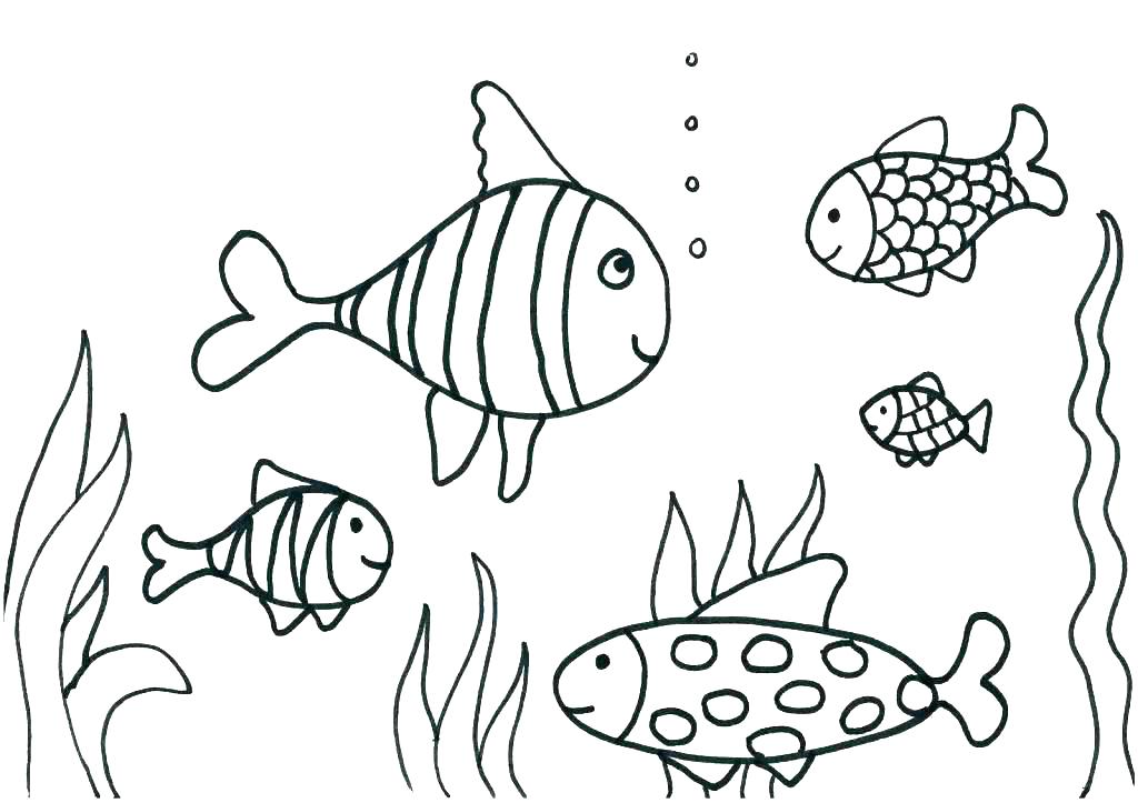 1024x723 Free Printable Fish Coloring Pages This Coloring Page For Kids