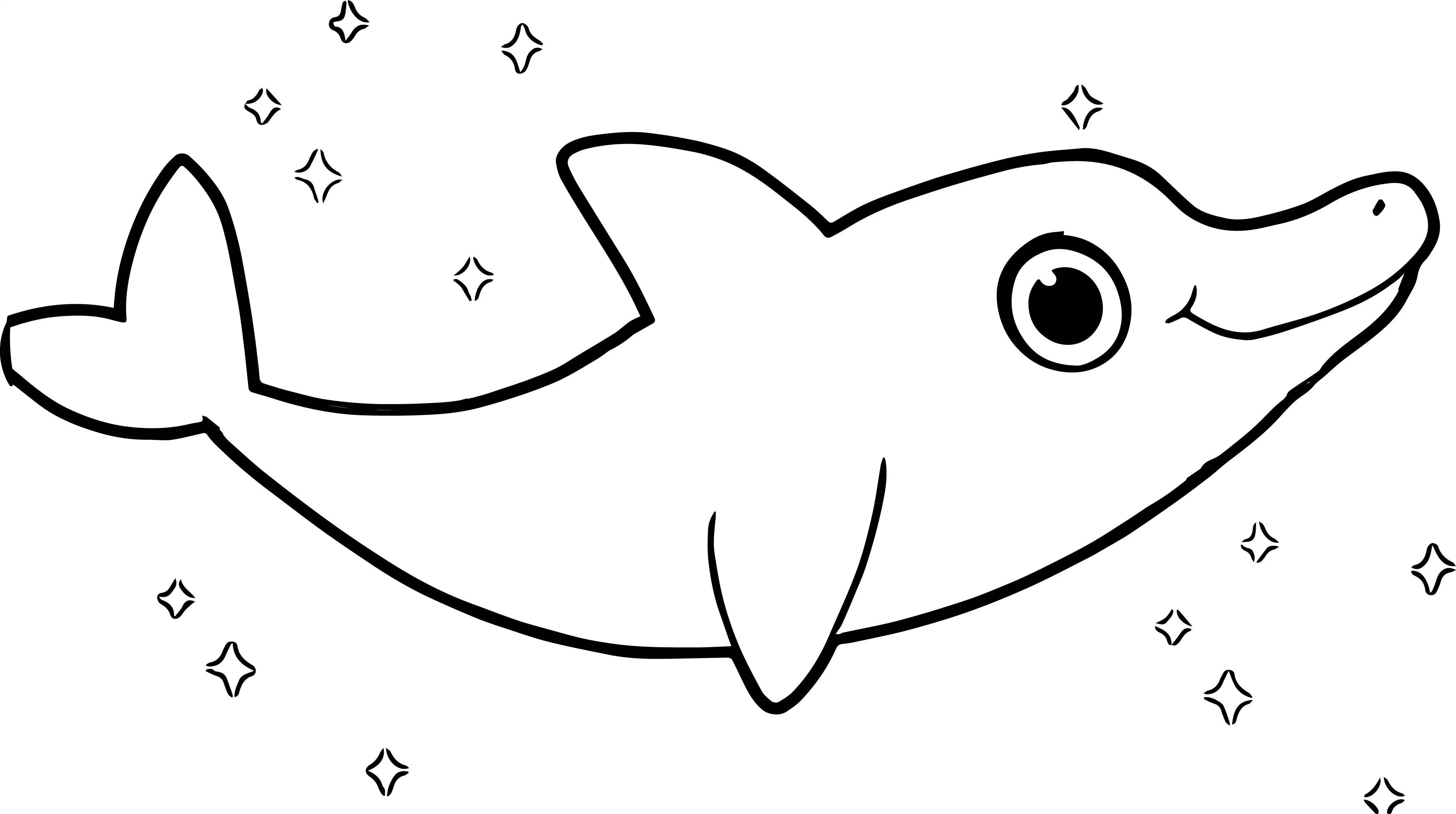 4021x2250 Perspective Printable Dolphin Coloring Pages Cute Draw A Free Fair