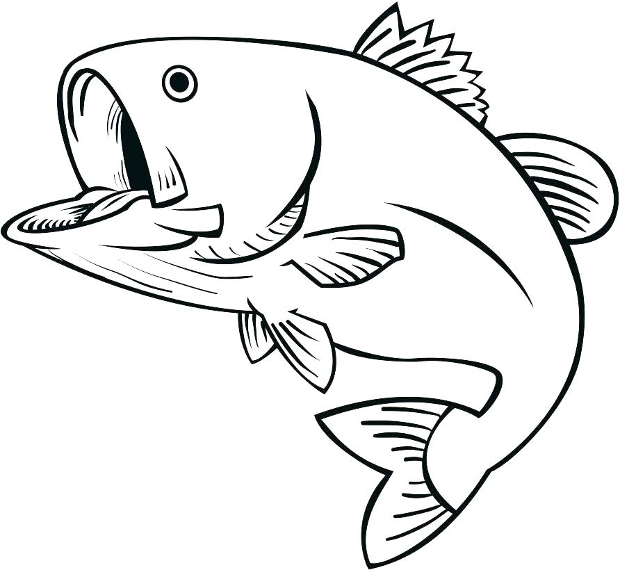 892x820 Jumping Fish Coloring Pages Bass Coloring Pages Dedupe Ideas