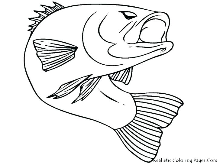 728x546 Coloring Pages Of Fish One Fish Two Fish Red Fish Blue Fish