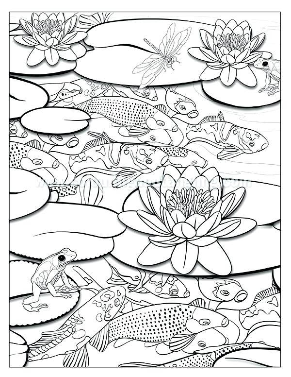 Pond Colouring Pages Free Coloring Month Of June Coloring Pages 600x776 Pond Colouring Pages Free Coloring Month Of June Coloring Pages