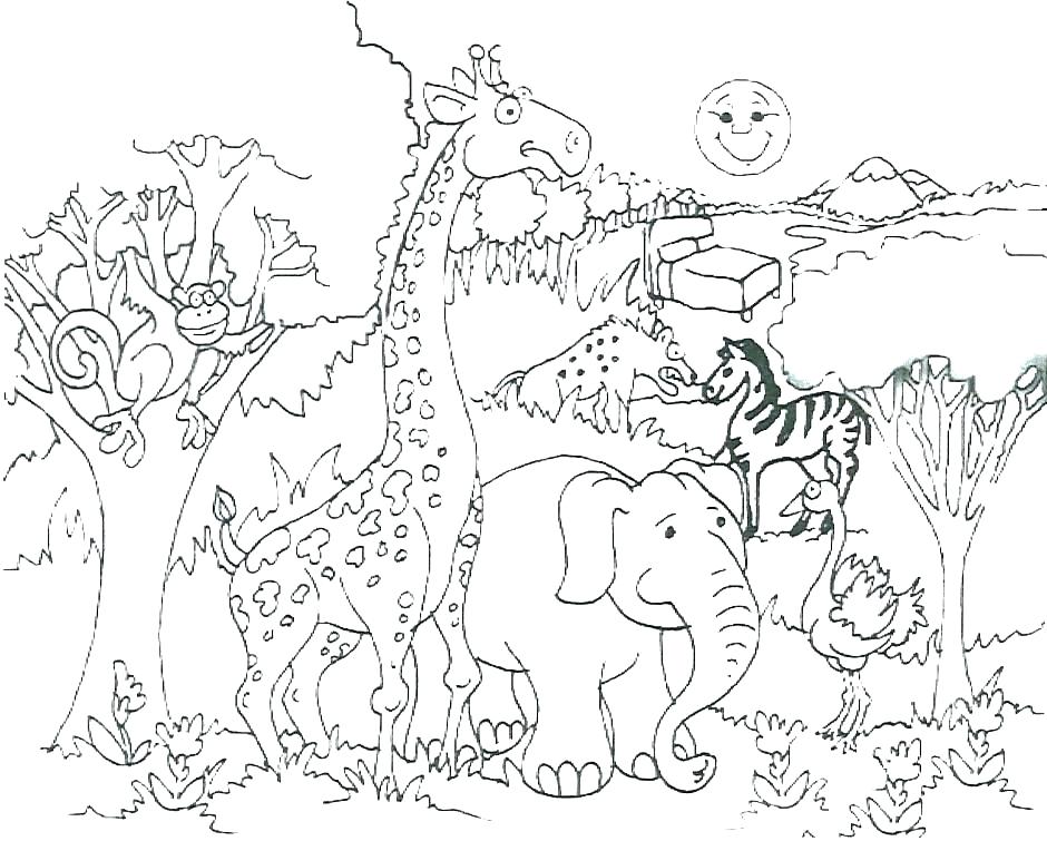940x755 Jungle Animals Coloring Page Safari Animal Good Jungle Animal