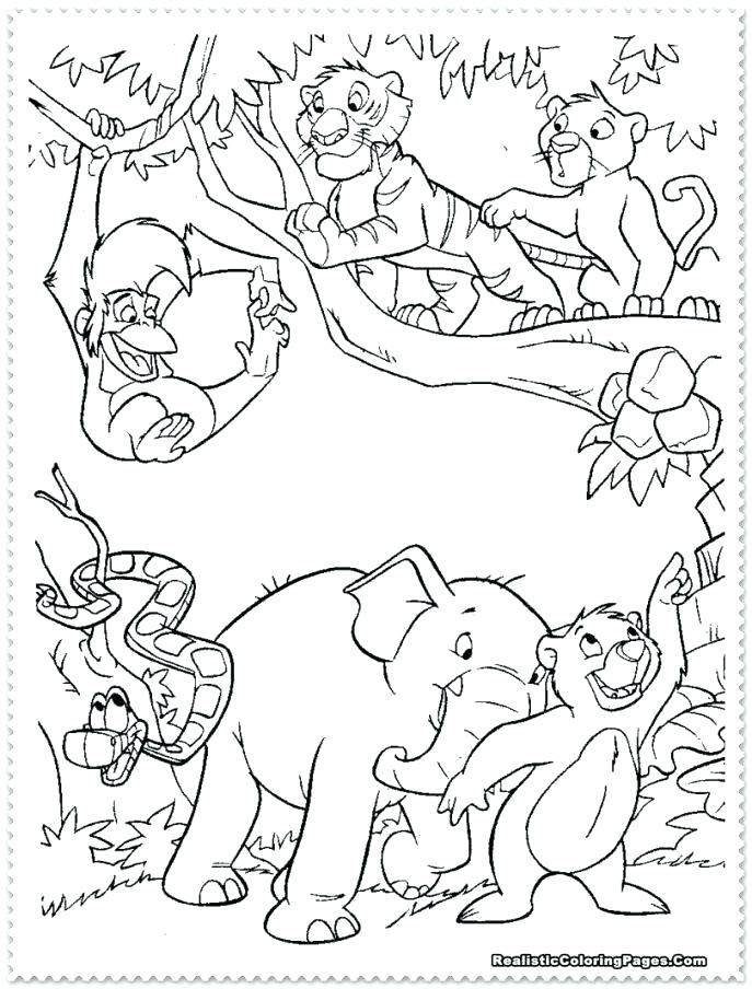 687x904 Jungle Animals Coloring Pages Preschool Colouring A Animal