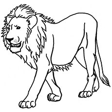 230x230 Top 10 Free Printable Jungle Animals Coloring Pages Online