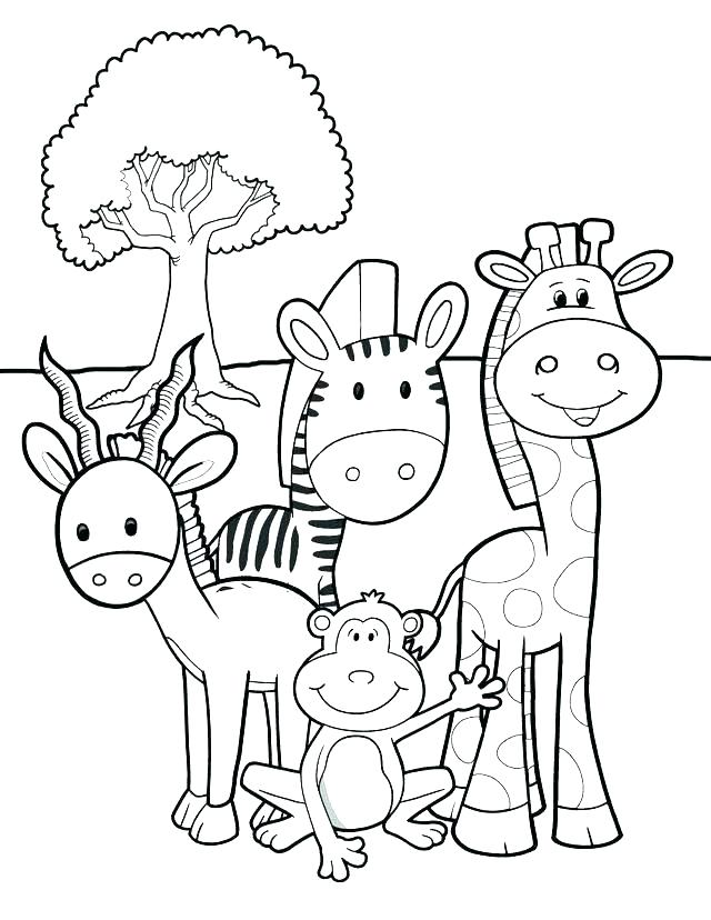 640x828 Coloring Pages Of Jungle Animals Pictures Of Animals Free